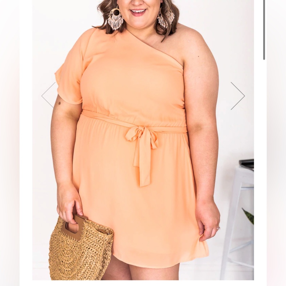 Pink Lily One Shoulder Dress